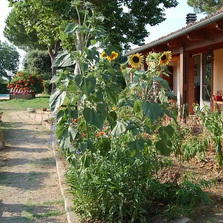 Piccolo Eden Lejlighed