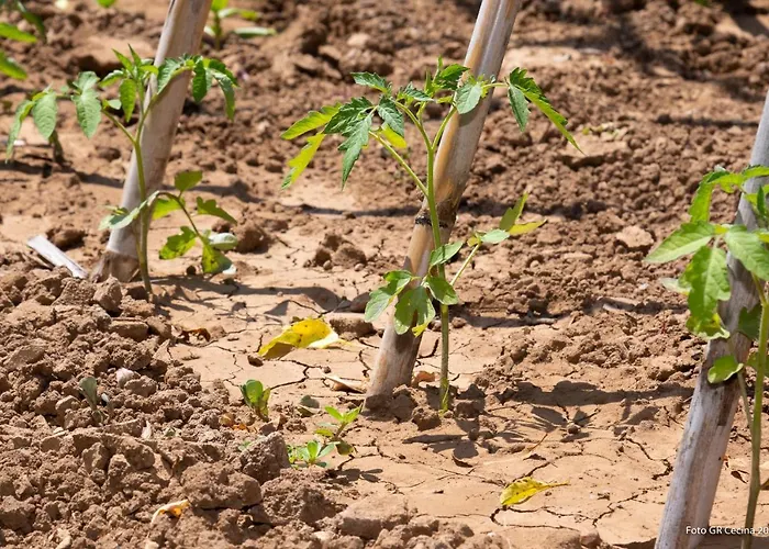 Piccolo Eden アパート ヴァダ