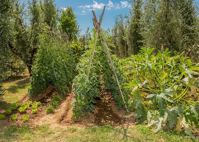 Piccolo Eden Διαμέρισμα