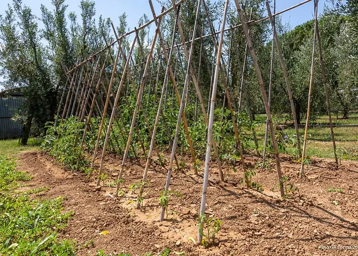 Διαμέρισμα Piccolo Eden Vada