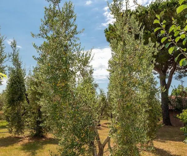 Διαμέρισμα Piccolo Eden *