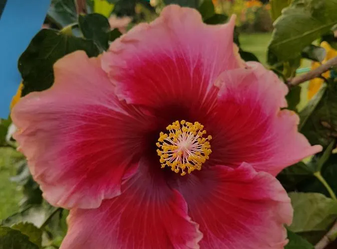 Διαμέρισμα Piccolo Eden *